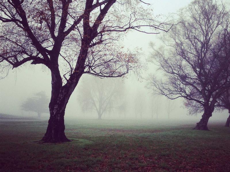 内容管家<br>违禁词过滤与自动回复